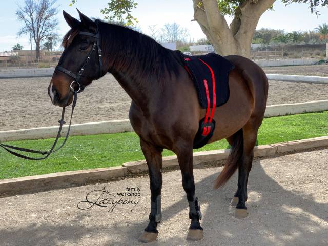 Silla Sudadero Bareback pad Hacking Lazypony