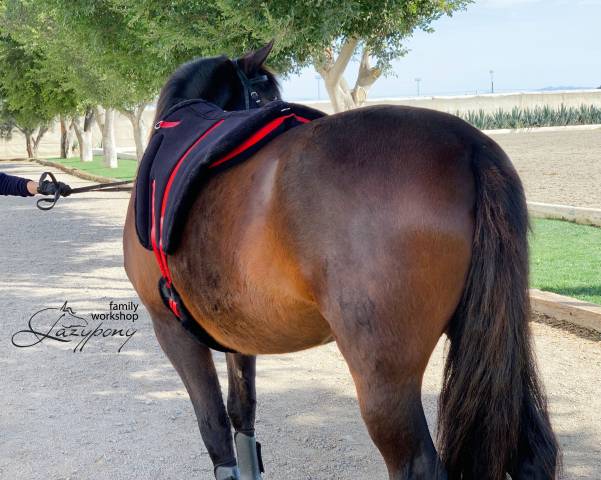 Silla Sudadero Bareback pad Hacking Lazypony