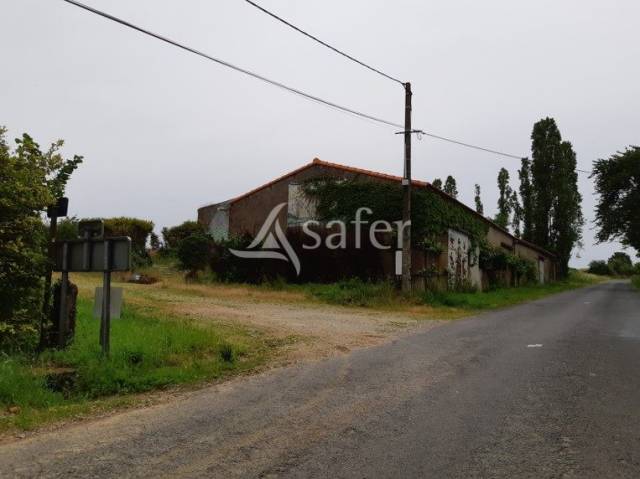 Explotación vitícola / Viñedo En venta Loira Atlántico