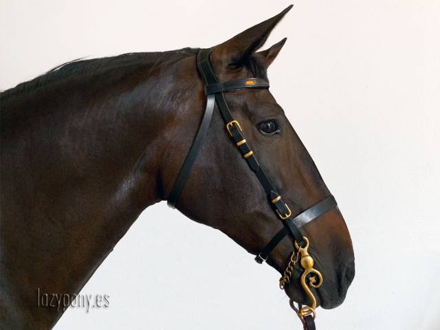 Cabezada para caballos Ranger, anatomical horse bridle