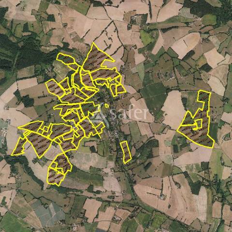 Explotación avícola En venta Sarthe