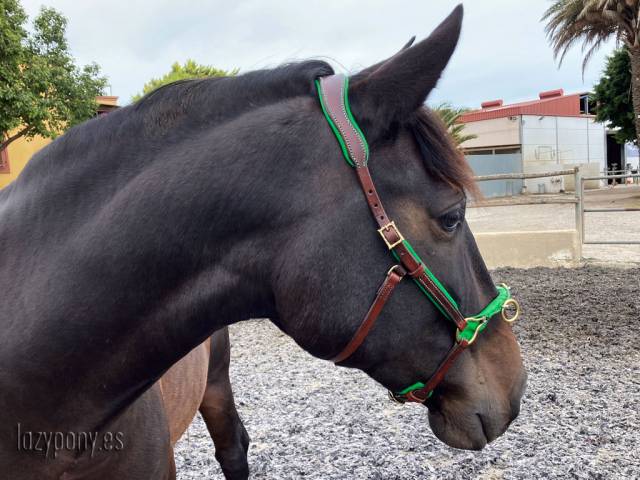 Cabezada serreta francesa de estilo barroco Lazypony