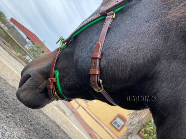 Cabezada serreta francesa de estilo barroco Lazypony