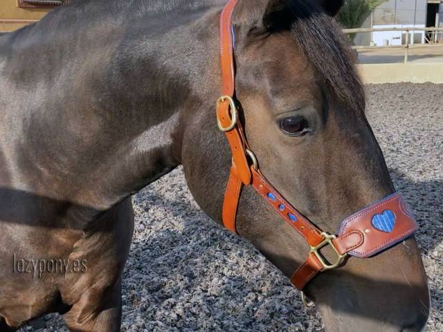 Cabezada de cuero anatómico Corazón Lazypony 