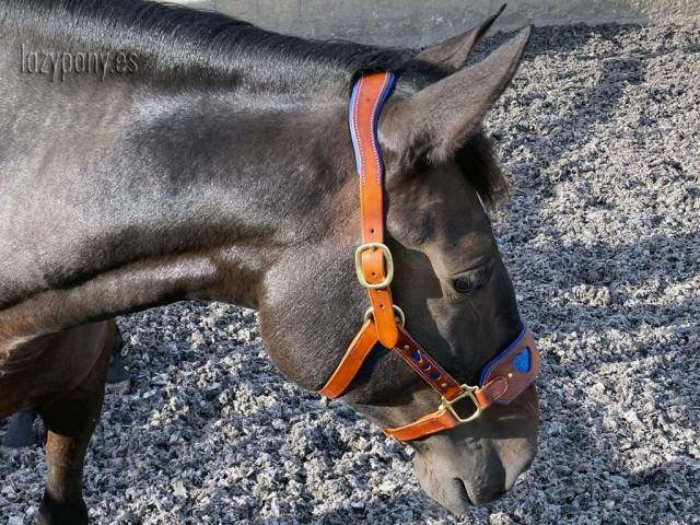 Cabezada de cuero anatómico Corazón Lazypony 