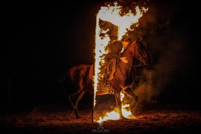 Amadeo de Ruyer - Lusitano 2010 por Borladero FLV