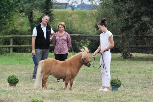Inouk du maugarnaud  - Shetland 2018 por First du mury marrais