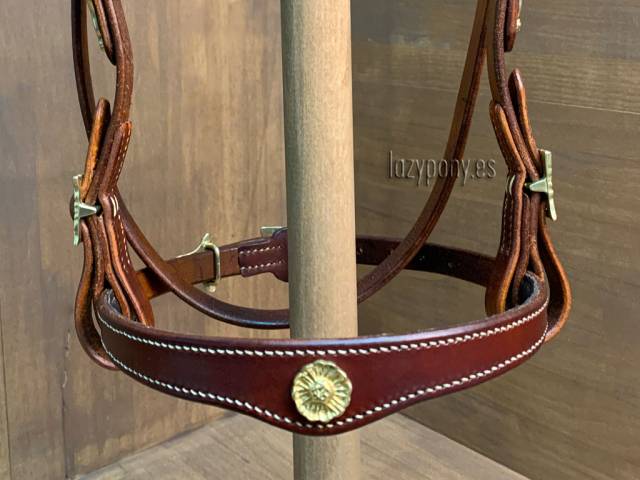 Portuguese iberian bridle Lazypony