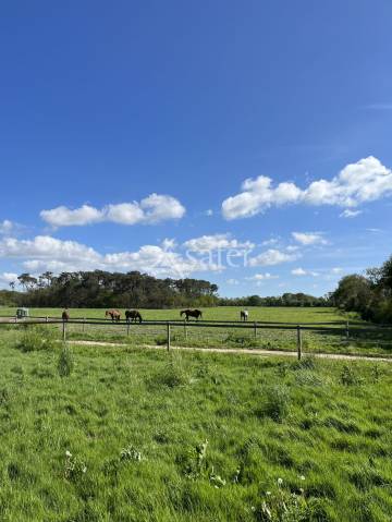 Propiedad ecuestre En venta Vendée