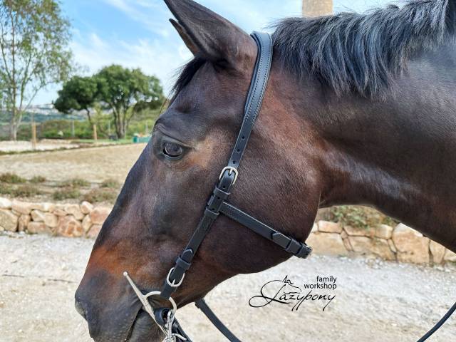 Anatomical french bridle Lazypony with reins