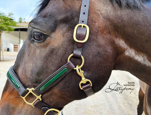 Patent leather halter Lazypony