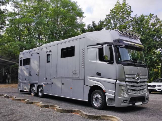 Cami&oacute;n para caballos STX MERCEDES 2018 De segunda mano