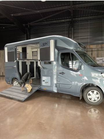 Furgoneta para caballos STX Renault 2021 Nuevo