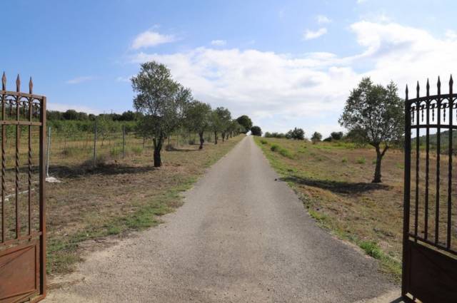 Bonita residencia ecuestre En venta Aude