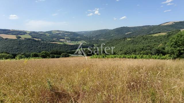 Explotación agrícola En venta Aveyron