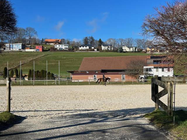Centro ecuestre En venta Friburgo