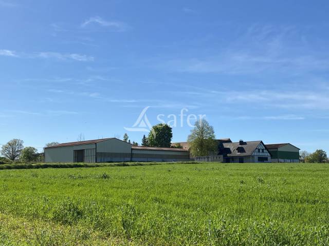 Explotación agrícola En venta Allier