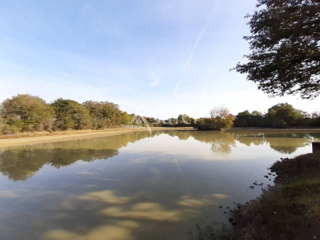 Propiedad rural En venta Vienne