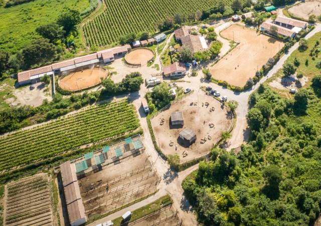 Centro ecuestre En venta Hérault