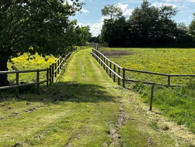 Propiedad ecuestre En venta Morbihan