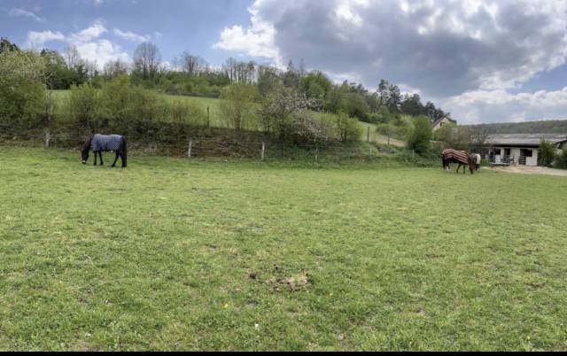 Propiedad ecuestre En venta Yonne