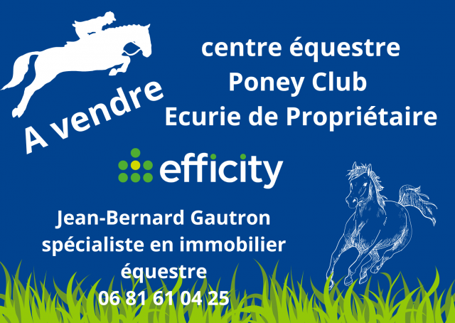 Centro ecuestre En venta Ile y Vilaine