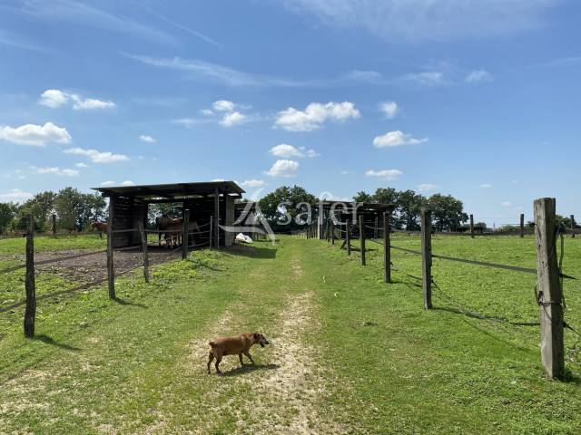 Propiedad ecuestre En venta Ain