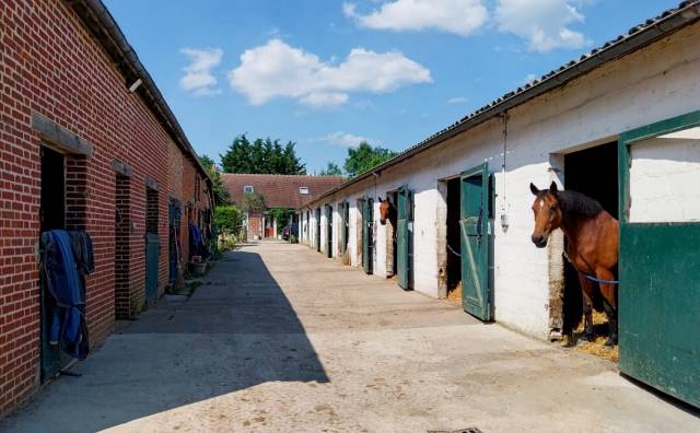 Propiedad ecuestre En venta Orne