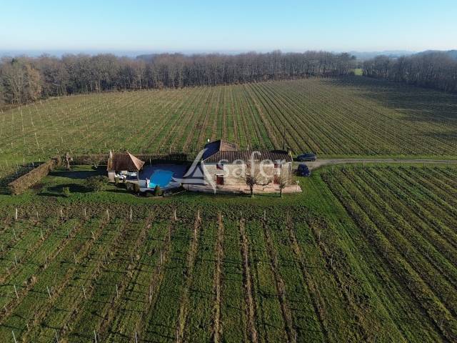Propiedad rural En venta Gironda