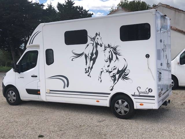 Furgoneta para caballos Trans Box Svelto 4 2020 De segunda mano