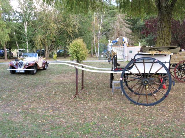 Coche enganches - Calesa Fenix Carriages  