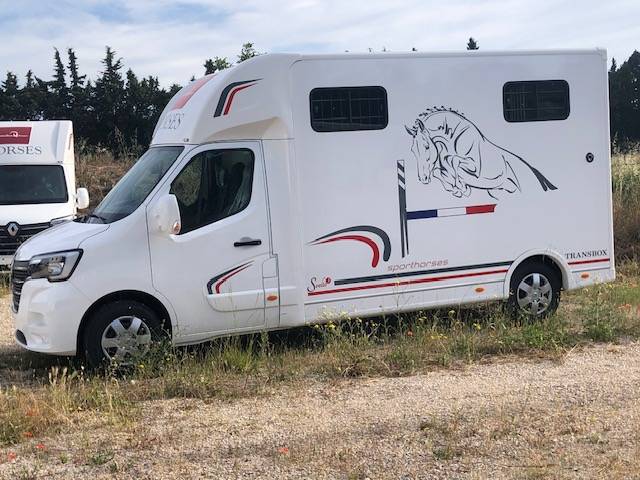 Furgoneta para caballos Trans Box New Svelto 3 2020 De segunda mano