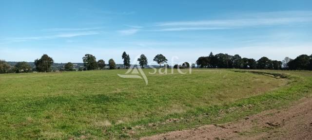 Explotación forestal En venta Orne