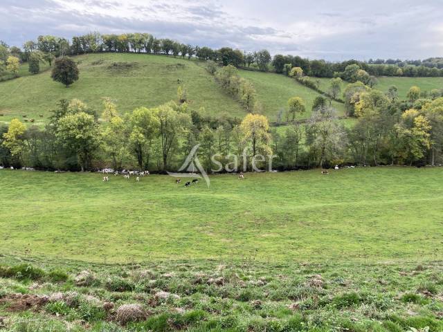 Explotación agrícola En venta Cantal