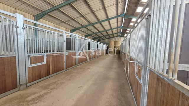 Propiedad ecuestre En venta Allier