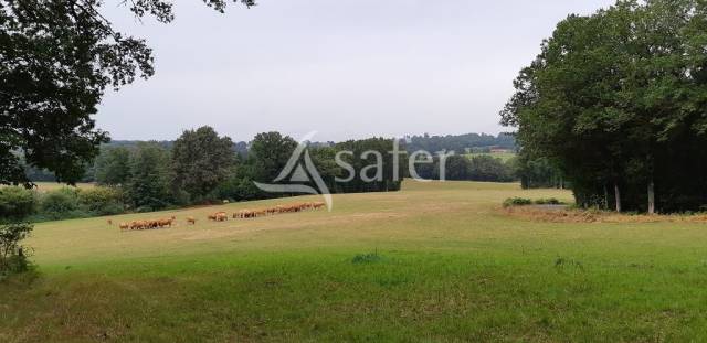 Explotación agrícola En venta Alto Vienne