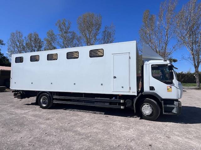 Camión para caballos Renault 280 2013 De segunda mano