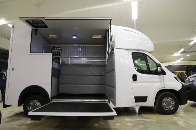 Furgoneta para caballos Otra marca PEUGEOT 0 Nuevo