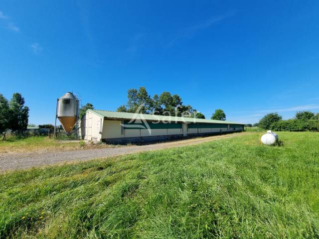 Explotación agrícola En venta Altos Pirineos