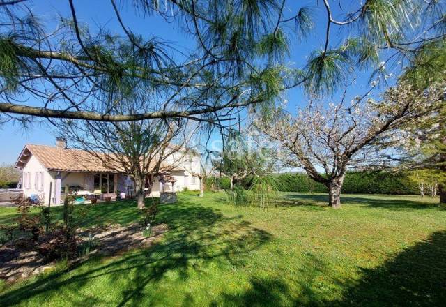 Explotación ovina En venta Gironda