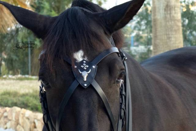 X frontalera de cuero Gothic Lazypony, X browband 