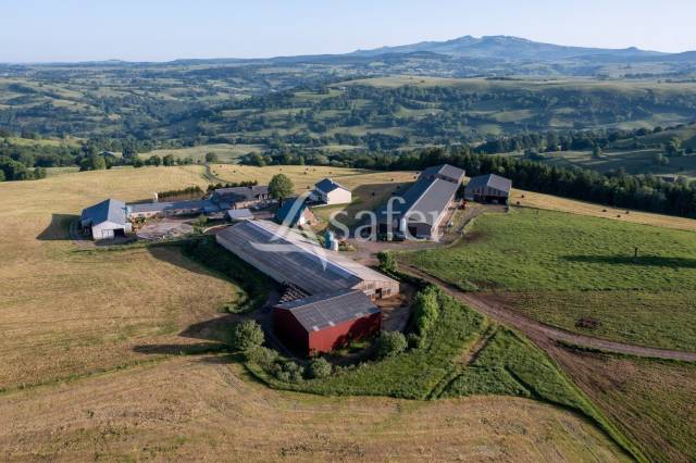 Explotación agrícola En venta Cantal