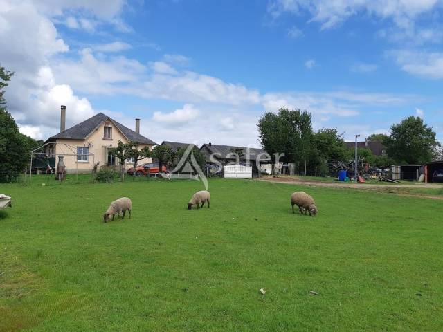 Explotación agrícola En venta Alto Vienne