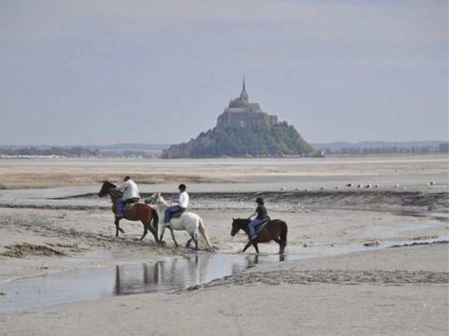 Propiedad de turismo ecuestre En venta Ile y Vilaine