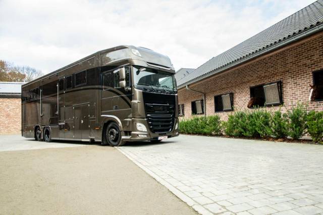 Camión para caballos Daf XF 450 2019 Nuevo