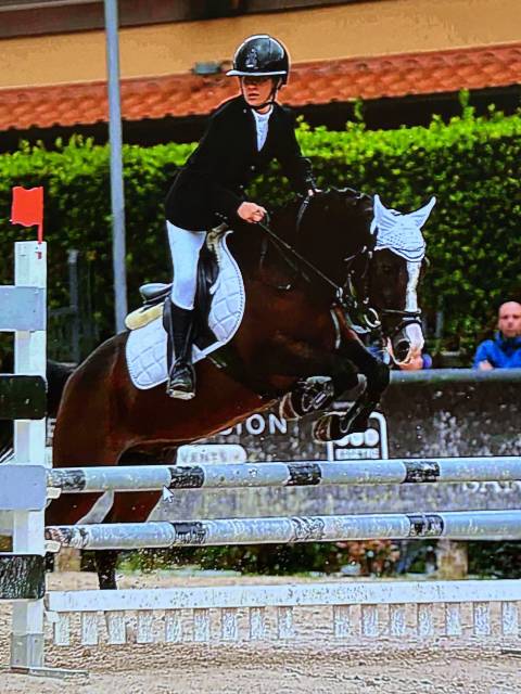 Caballo castrado Origine Constatée En venta 2009 Bayo moreno