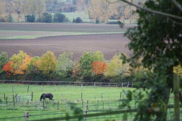 Propiedad ecuestre En venta Calvados