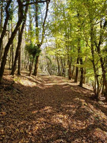 Propiedad rural En venta Lot