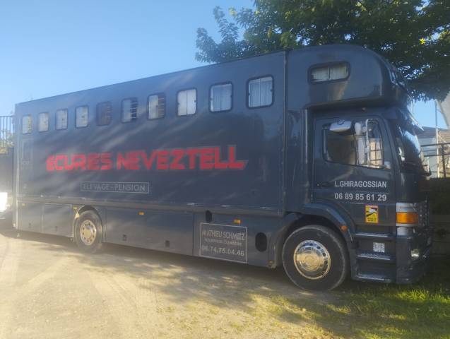 Camión para caballos Mercedes  2000 De segunda mano