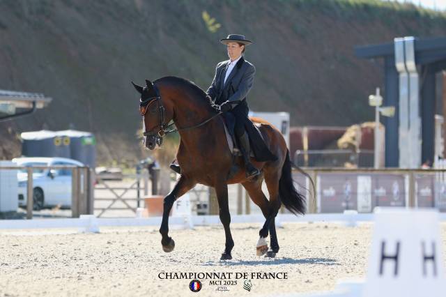 Dior du Fesquet - Lusitano 2013 por Rubi Ar